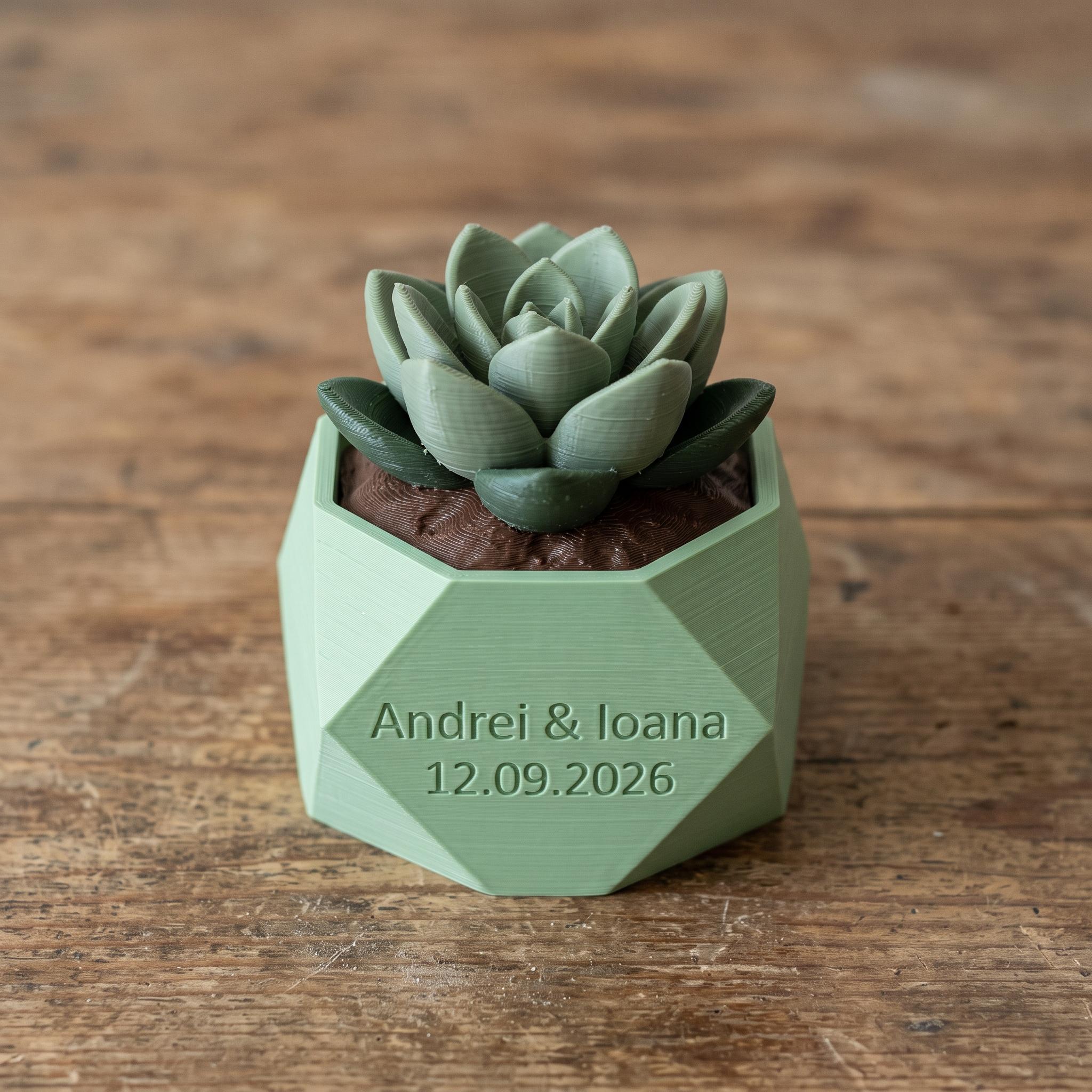 Plantă cu ghiveci personalizat